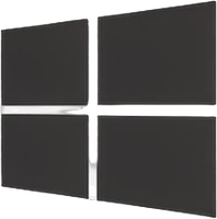 Windows 11